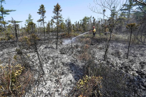 Löscharbeiten in einem Waldgebiet in Nova Scotia. - © ---/Communications Nova Scotia via The Canadian Press/AP/dpa