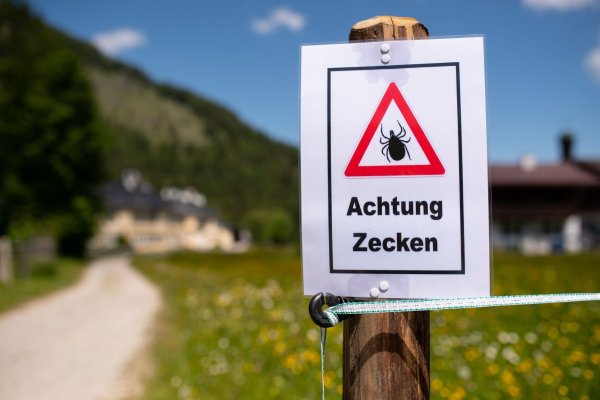Wer so ein Schild beim Wandern sieht, sollte sich am Abend besonders gut nach Zecken absuchen. - © Sven Hoppe/dpa