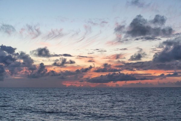 Untersucht wurde eine Region nördlich von Hawaii, die sogenannte Nordpazifische Übergangszone. - © Ryan Tabata/University of Hawaii at Manoa/dpa