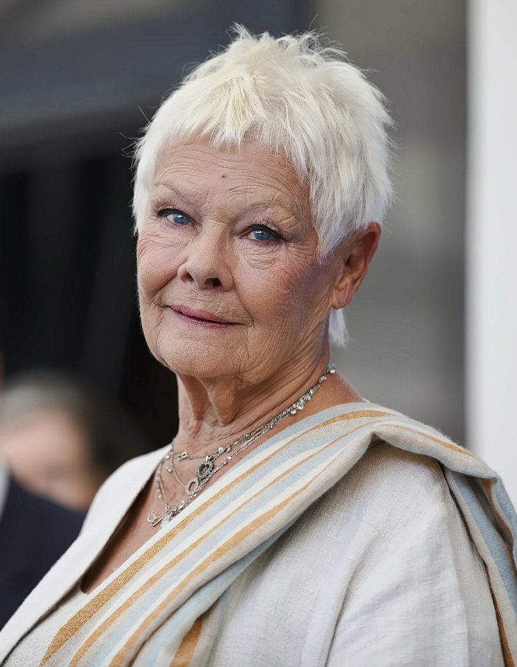 Judi Dench - © Foto: Domenico Stinellis/AP/dpa