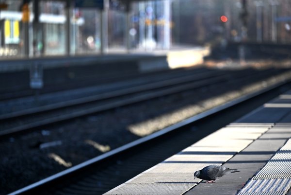 Der Bahnverkehr war von der Absperrung am Essener Hauptbahnhof nicht betroffen. (Archivbild) - © Federico Gambarini/dpa