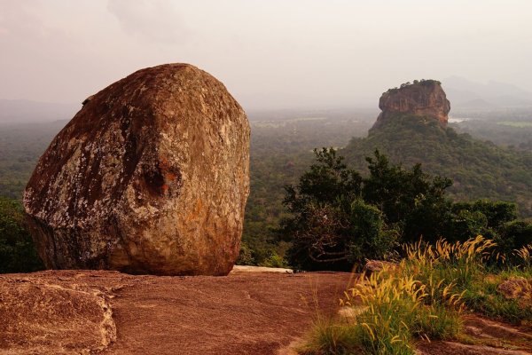 Reisende nach Sri Lanka müssen derzeit ihr Visum vor Ort am Flughafen beantragen, da die E-Visum-Website nach einem Gerichtsbeschluss im August deaktiviert wurde. - © Robert Günther/dpa-tmn