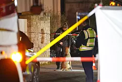 Auch Polizeihunde wurden bei der Fahndung in der Nacht eingesetzt. - © Freitag-TV