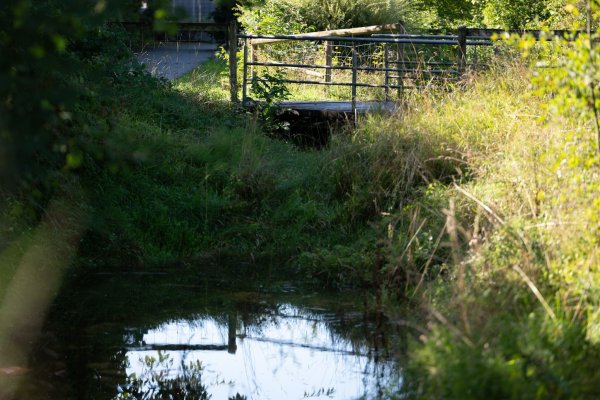 Unter der Brücke hatten Anwohner schon früh den Geruch mitbekommen. - © Markus Lenhardt/dpa