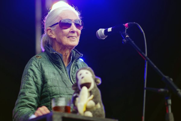 Jane Goodall auf der Greenpeace-Bühne beim Glastonbury Festival in Worthy Farm. - © Ben Birchall/PA Wire/dpa
