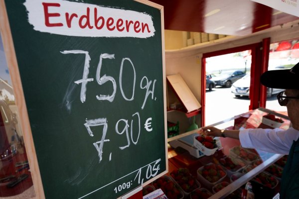 Krumme Packungsgrößen, hohe Preise: Erdbeeren in der Saison 2025. - © Philip Dulian/dpa