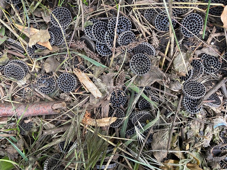 Überall lagen nach dem Starkregen im Juni 2023 im Kreis Gütersloh Plastikplättchen am Ufer der Ems hinter der Kläranlage. - © Markus Voss