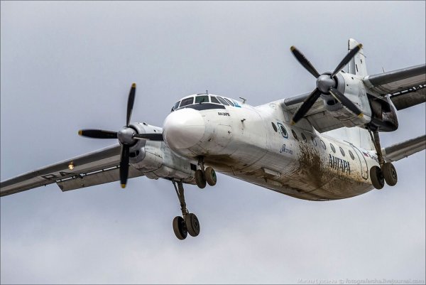 Eine An-24-Passagiermaschine ist abgestürzt. (Archivbild) - © Marina Lystseva/AP/dpa