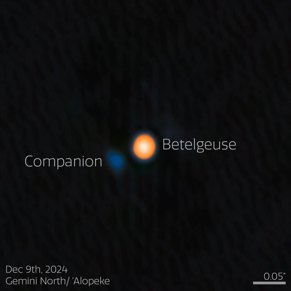 Astronomen haben wahrscheinlich einen Begleitstern von Beteigeuze (englisch: Betelgeuse) entdeckt. Der Begleitstern erscheint hier blau. - © --/International Gemini Observatory/NOIRLab/NSF/AURA/dpa