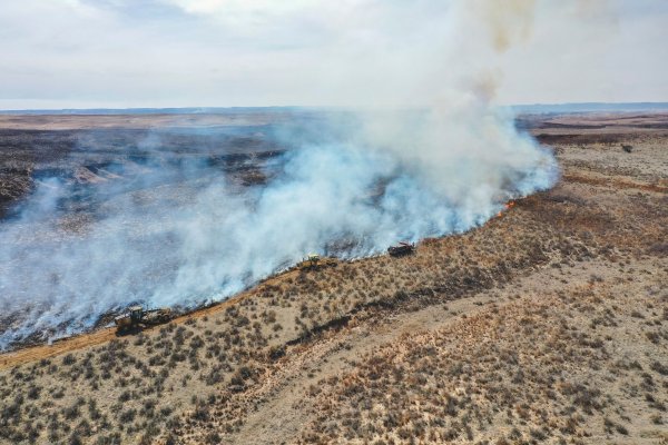 Feuerwehrleute bekämpfen das Smokehouse Creek Fire nördlich von Canadian im US-Bundesstaat Texas. - © David Erickson/AP/dpa