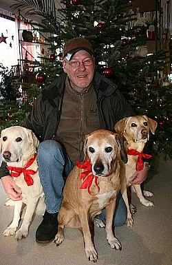 Die Labradore "Aika", "Hummel" und "Casper" posieren ausnahmsweise nur für das Foto mit Herrchen Thomas Fuchs unterm Baum. - © FOTO: SANDRA CASTRUP