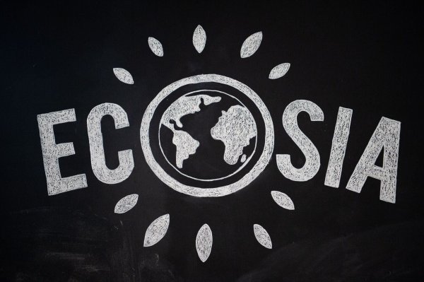 Zusammen mit der Suchmaschine Qwant aus Frankreich will das Berliner Start-up Ecosia einen Suchmaschinennindex aufbauen, der ohne Google und Bing auskommt. - © Arne Immanuel Bänsch/dpa