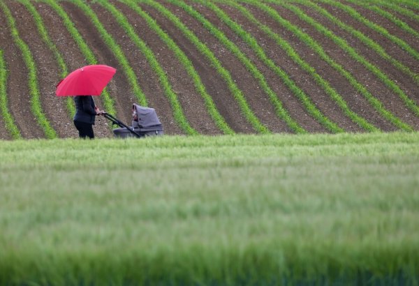 Am Samstag könnten sich bereits wieder einige starke Gewitter über der Mitte Deutschlands bilden. - © Thomas Warnack/dpa