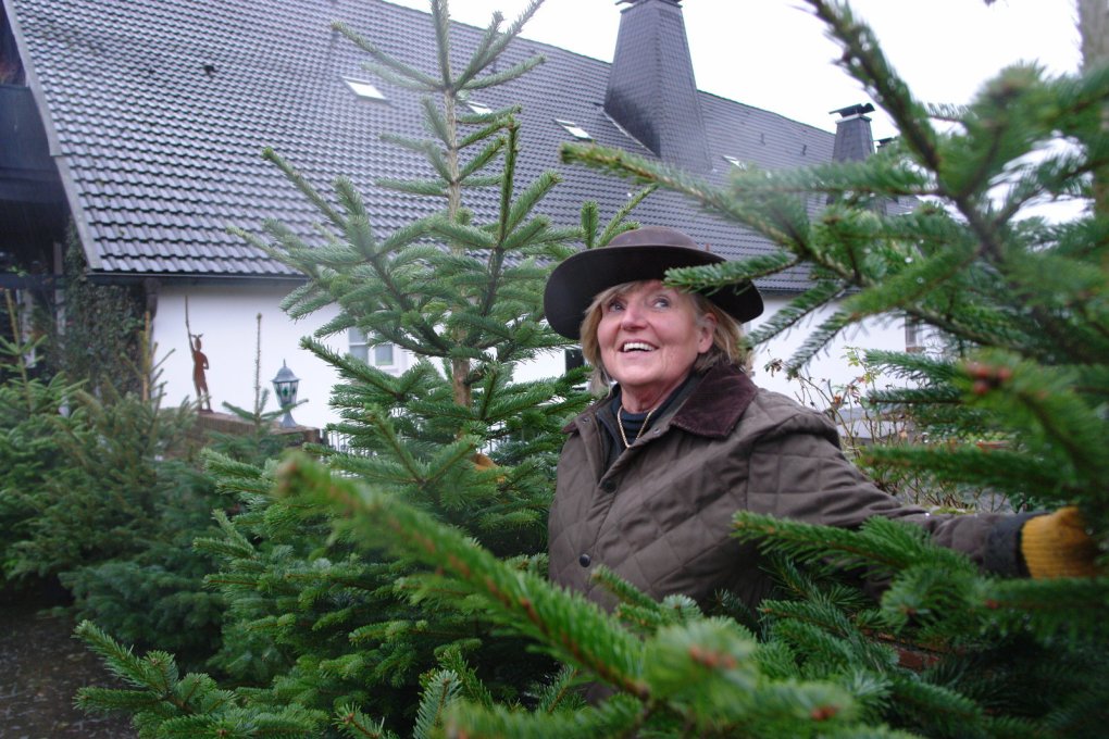 So findet der richtige Weihnachtsbaum den Weg ins Wohnzimmer Lokale