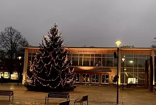 Weihnachtstraum 2025