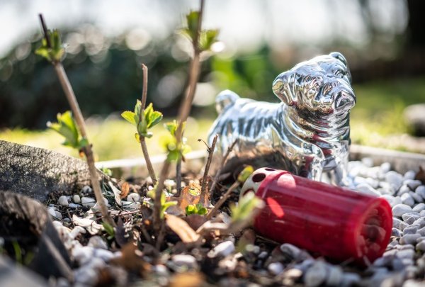 Hundefigur auf einem Grab - © Foto: Frank Rumpenhorst/dpa/Illustration