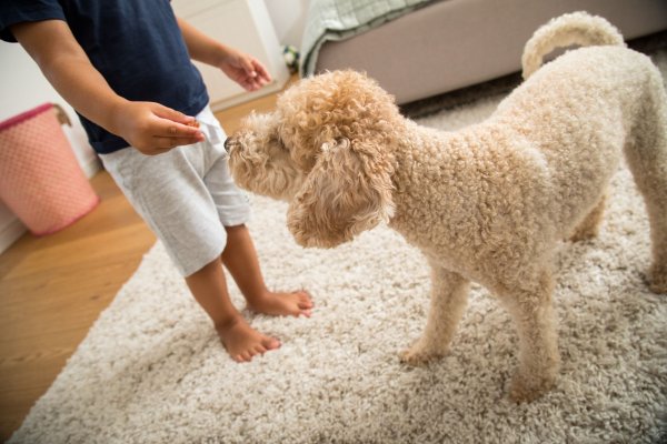Viele Kinder schaffen es nicht, sich jeden Tag ausreichend körperlich zu betätigen. Ob ein Hund im Haus da helfen kann? - © Christin Klose/dpa-tmn/dpa