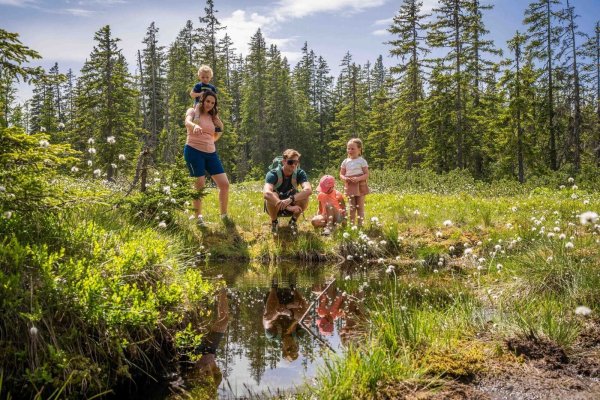 Naturerlebnis für die ganze Familie: In Filzmoos am Rossbrand lockt der neue «Filz und Moor Bilderbuchweg». - © Angela Jäger/filzmoos.at/dpa-tmn