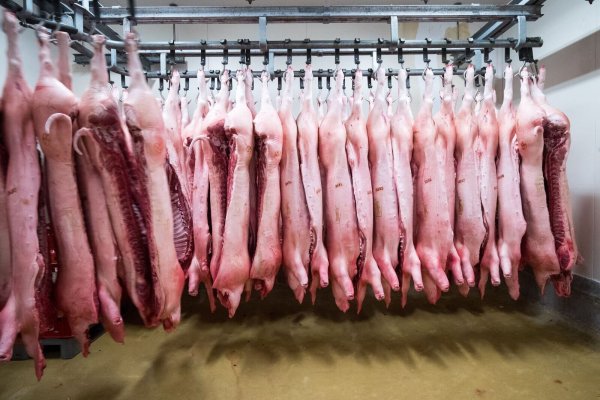 China erschwert mit Zöllen den Import von Schweinefleisch aus der EU. (Symbolbild) - © Christian Charisius/dpa