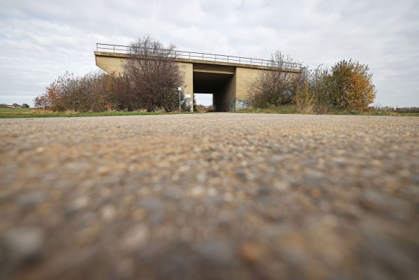 Eine ungenutzte Brücke für eine nicht fertiggestellte Straße steht am Rande eines Feldes. - © Oliver Berg/dpa/Archivbild