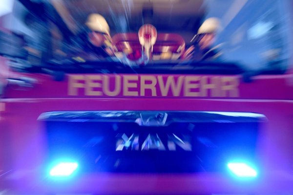 Die Feuerwehr rettete in Bochum zwei Dackel aus einer verrauchten Wohnung. (Symbolbild) - © Carsten Rehder/dpa