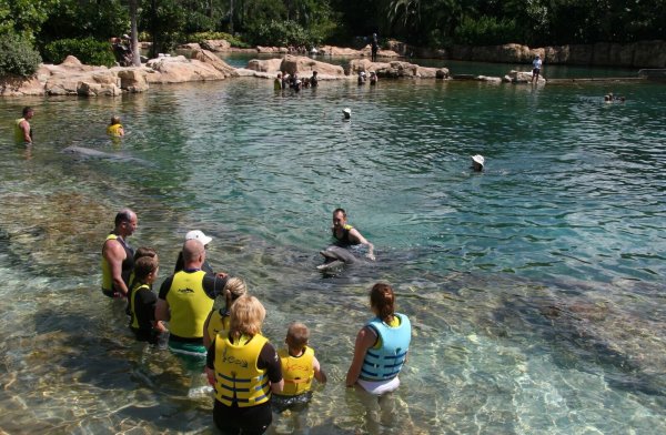 Das Discovery Cove und die anderen Seaworld-Themenparks in Orlando sind nach kurzzeitiger Schließung wieder geöffnet. - © Verena Wolff/dpa-tmn