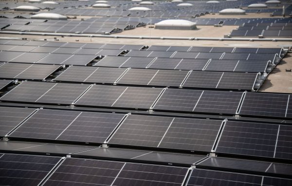 Zwischen Januar und November ging in NRW etwas mehr Solarleistung ans Netz als im vergangenen Jahr. - © Bernd Thissen/dpa