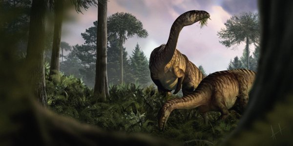 Anhand von versteinertem Kot, Erbrochenem und Darminhalten haben Fachleute die frühe Entwicklung der Dinosaurier rekonstruiert. - © Marcin Ambrozik/dpa