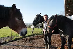Erhard Schroll hat den achj&auml;hrigen Alt-Oldenburger Blacky (hinten) und die siebenj&auml;hrige Ella, ein Rheinisch-Deutsches Kaltblut am Halfter. Von links pierscht sich Elvis (8), ebenfalls ein Rheinisch-Deutsches Kaltblut, ins Bild. - &copy; Carolin Brokmann-F&ouml;rster