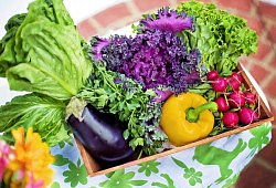 Gemüse und Obst - Symbolbild: Pixabay