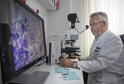 Professor Dr. Frank Hartmann - Klinikum Lippe