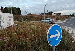 Campusallee - Archvifoto: Till Brand