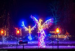 Illumination - Carlhermann Schmitt