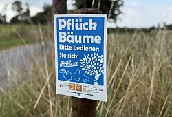 pflueckbaeume25 - Gemeinde Schlangen