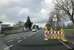 IMG_3664 - Thomas Reineke