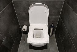 Ein Toilettensitz ist mit Toilettenpapier belegt - Nico Tapia/dpa-tmn