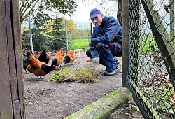 whatsapp-image-2025-10-29-at-164321 - Mareike Köstermeyer