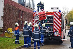 nic0548b - 1 - Nicole Ellerbrake