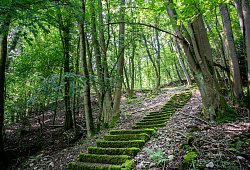 Märchenwald Berlebeck - Torben Gocke