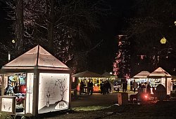 20251212_210038 - 1 - Jost Wolf