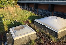 Mutwillig zerstört wurden diese Lichtkuppeln im Frühjahr 2018. Jetzt will die Stadt eine Videoüberwachung an der Südschule einrichten. - David Jones
