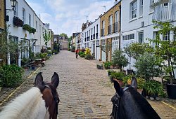 Mit dem Pferd durch die Hyde Park Gardens Mews - Dörte Nohrden/dpa-tmn