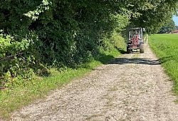Wirtschaftsweg - 1 - Stadt Borgholzhausen