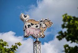 Vier Teile der fiktiven Serie sind bis jetzt geplant. - Symbolfoto/picture alliance