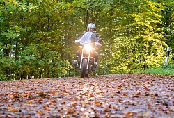 Motorradfahrer fährt über eine herbstliche Landstraße - Benjamin Nolte/dpa-tmn