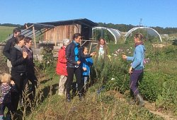 0806_sudost_textb_ackerbildung_bild - Archivfoto: SoLaWi Dalborn