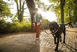 Frau geht mit ihrem Hund im Park spazieren - Christin Klose/dpa Themendienst/dpa-tmn