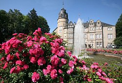 Schloss Detmold - Archivfoto: Bernhard Preuss