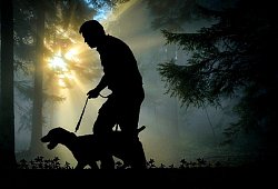 Jagd - Symbolbild: Pixabay