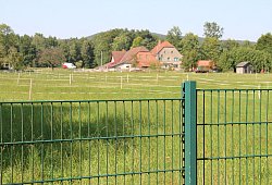 img_0041 - Dieter Asbrock